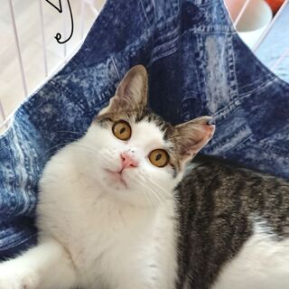 9～10ヵ月くらいのゴロゴロな女の子♪