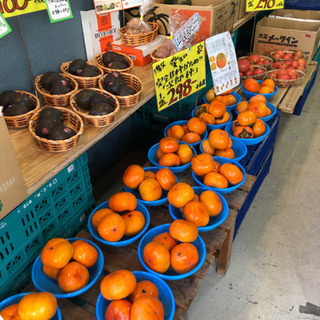 八百屋のレジと簡単な品出しなど募集中！同時に野菜の配達員も募集！！の画像