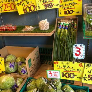 八百屋のレジと簡単な品出しなど募集中！同時に野菜の配達員も募集！！の画像