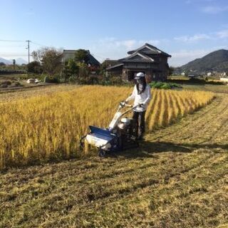 草刈代行