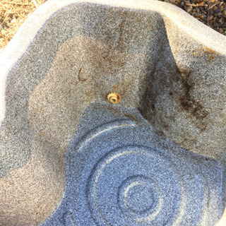 池 ひょうたん池の画像