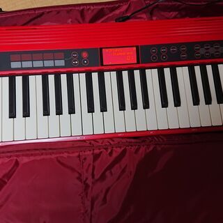 Roland / GO-61K GO:KEYS　キーボード　2020年7月購入