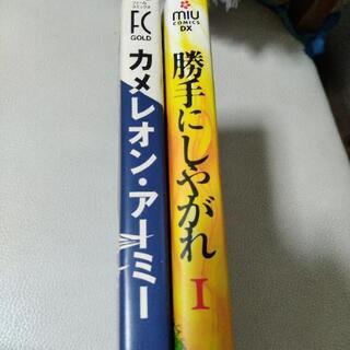 女性マンガ 2冊の画像