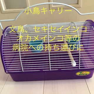小鳥キャリー　インコや文鳥の病院への受診時に