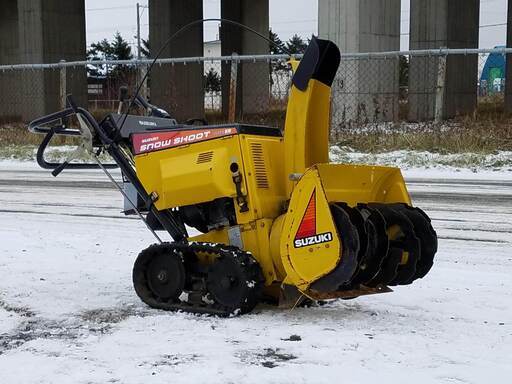 西澤　昭二　水彩画「あんず花 咲く」 20%OFF❗️西澤昭二 水彩画「あんず花 咲く」