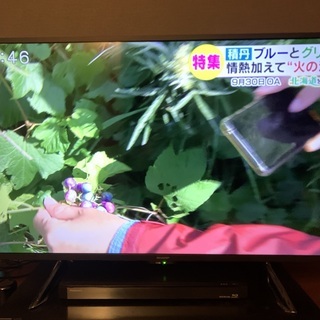 SHARP 42型液晶テレビ