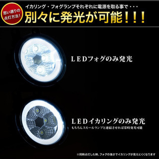 LEDイカリングの画像