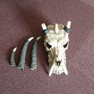 ドラゴン、龍、壁掛け、骸骨の画像