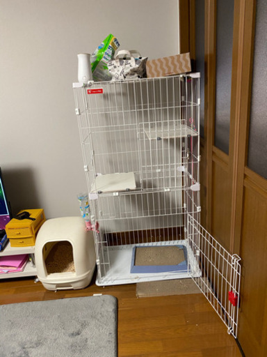 アイリスのキャットタワー,美品