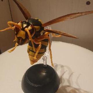 オオスズメバチガチャ