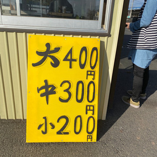 焼き芋　ふじね食堂前　12月6日は、配達もします - グルメ