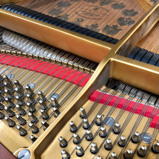 楽器店サロンに展示中♬ Steinway & sons / 創業140年記念Mモデルの画像
