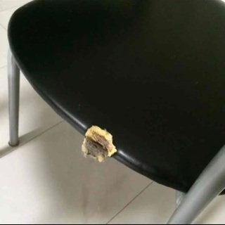 ダイニングテーブル貰ってださい。の画像
