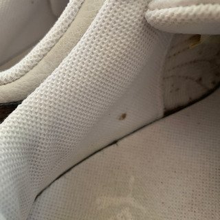 決まりました スニーカー　PUMA  23.5㎝の画像