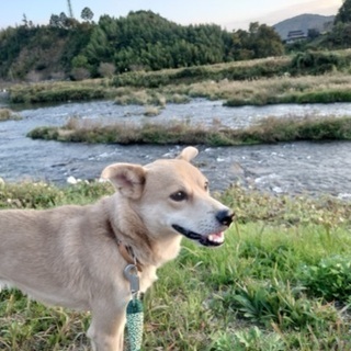 大事にしてくださる方へ