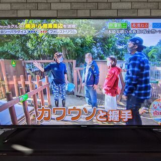 明日限定！ハイセンス 49V型 液晶 テレビ HJ49K3121 フルハイビジョン 外付けHDD裏番組録画対応