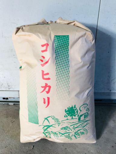 古米　令和1年度産