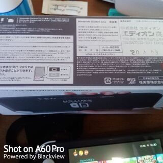本日までSwitchLITEの画像