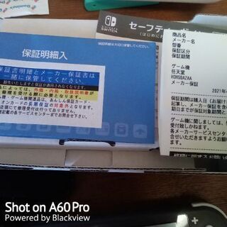 本日までSwitchLITE
