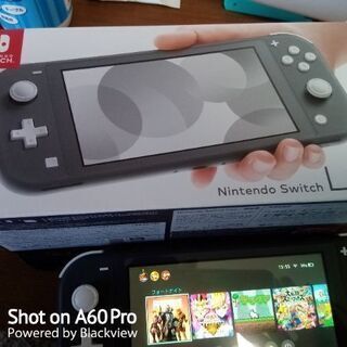 本日までSwitchLITEの画像