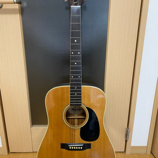 アコースティックギター(morris)