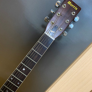 アコースティックギター(morris)の画像