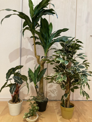 観葉植物（フェイクグリーン）４点セット