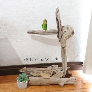 バードジムの中古が安い！激安で譲ります・無料であげます