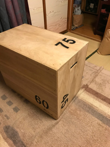 【受注製作】プライオボックス