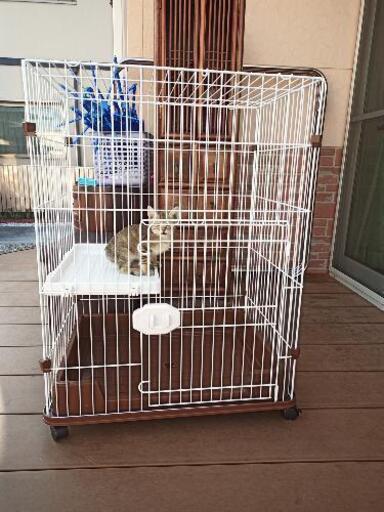 ☆急募半額以下☆猫用ケージ2段☆美品☆配達可☆