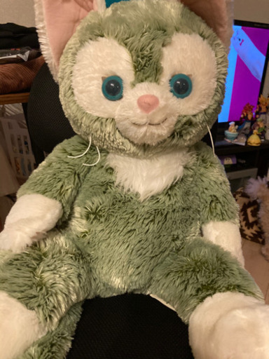 ジェラトーニ　M