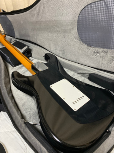 Edwards E-SE-100M MONOケース付き