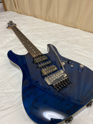 Schecter NV エレキギター Gig Bag SZ-G