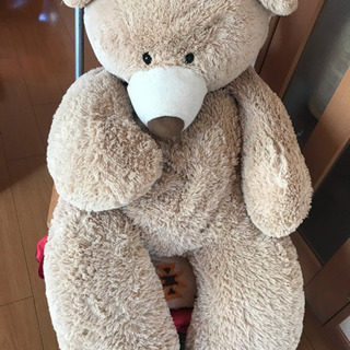 コストコ　クマ150センチ　無料の画像