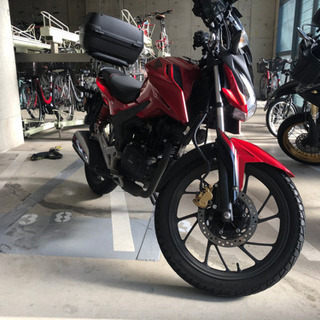 ホンダCBF125R 走行4554キロ 1年半前新車購入 スポーティなネイキットの画像