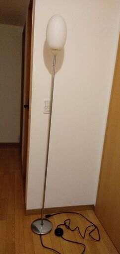 アクタス購入　フロス　スタンドライト