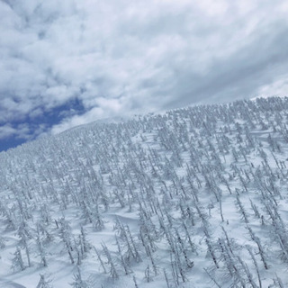 🏂2020年度スノボサークルメンバー募集🏂