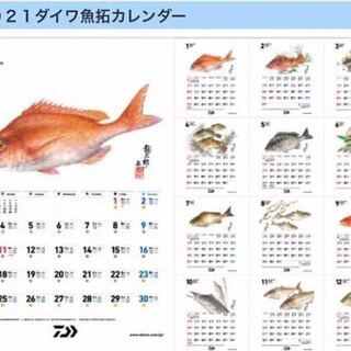 ダイワカレンダー2021年版　
