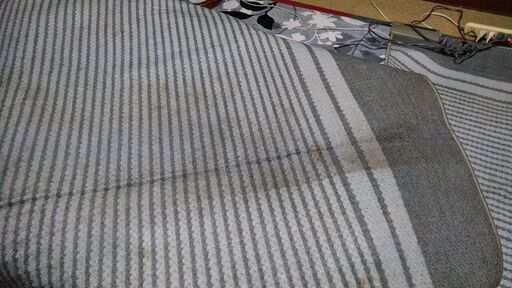 ホットカーペットは如何でしょうか？