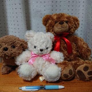くまのリュック&ぬいぐるみ&オモチャ