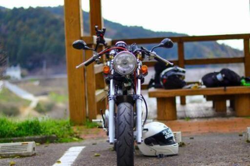 エイプ 100cc 50登録