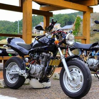 エイプ 100cc 50登録
