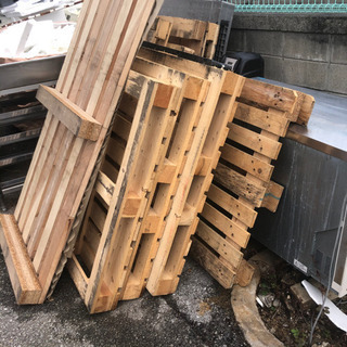 プラパレ大量入荷！！木パレ・プラパレ差し上げます！の画像