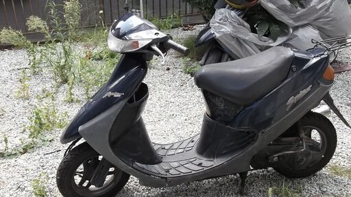 （決まりました）セピア　実動車両です。