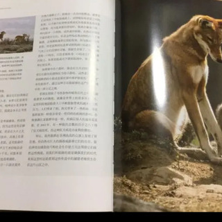 生命　非常的世界の画像