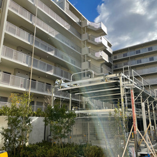 〜手渡しok〜 〜住みどころ有〜の画像