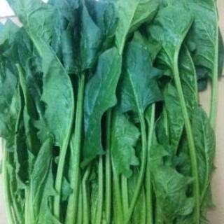 規格外ホウレン草大袋詰め２kg