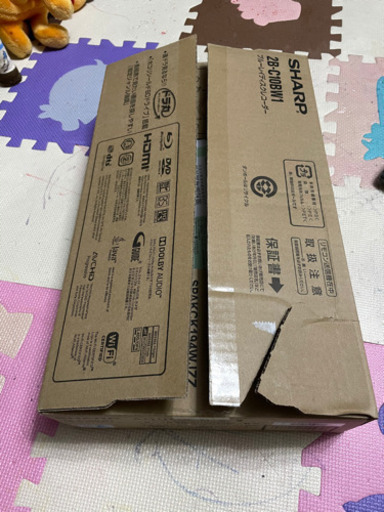 SHARP AQUOS ブルーレイ 2B-C10BW1