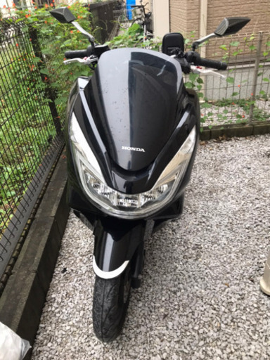バイク HONDA pcx125 AF56