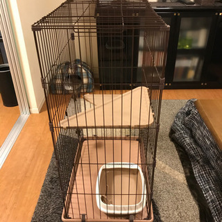 キャットゲージ🐱